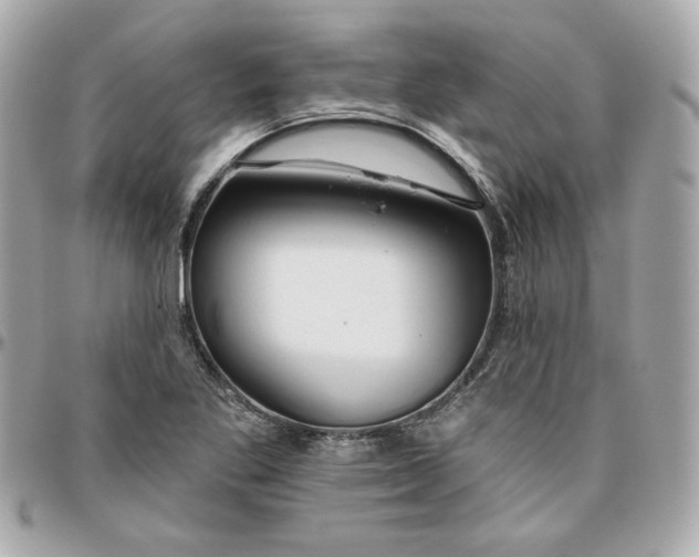 X0000095881269200802011036