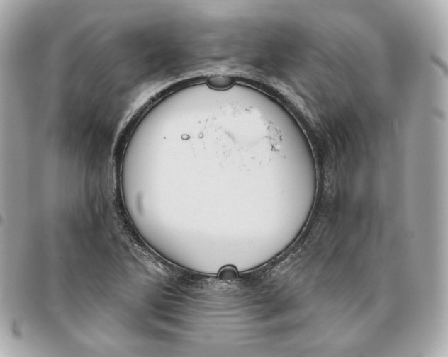 X0000095881270200802011036