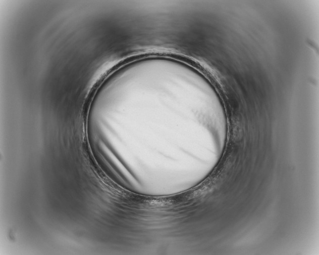 X0000095881271200802011036