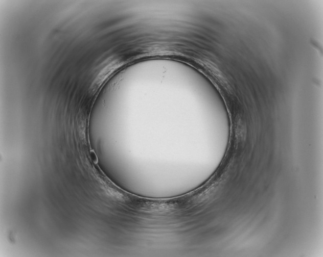 X0000095881273200802011036