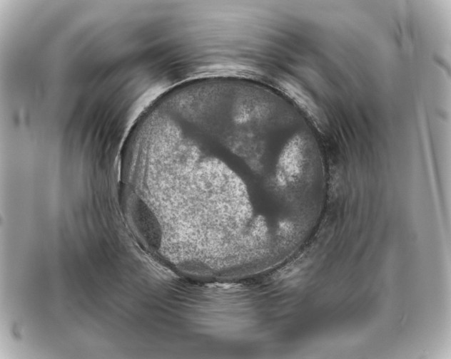 X0000095881275200802011036