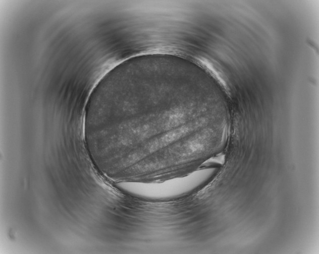 X0000095881276200802011036