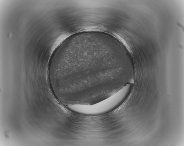 X0000095881277200802011036