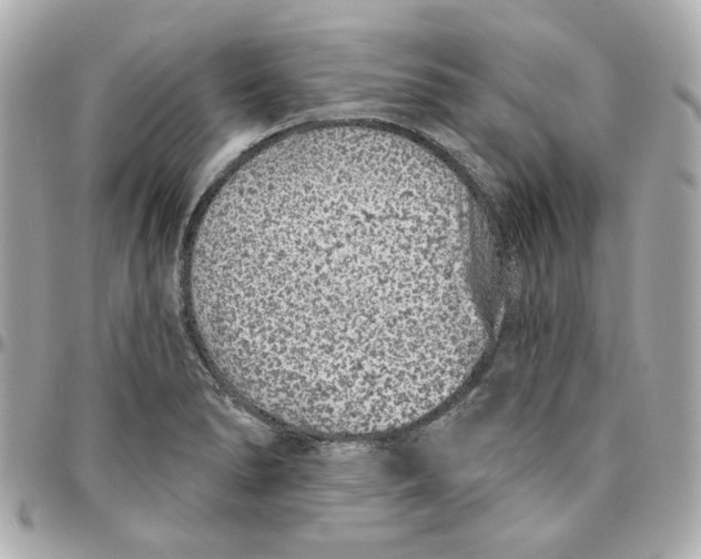 X0000095881278200802011036