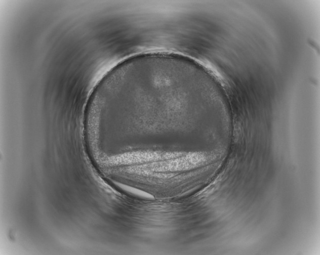 X0000095881279200802011036