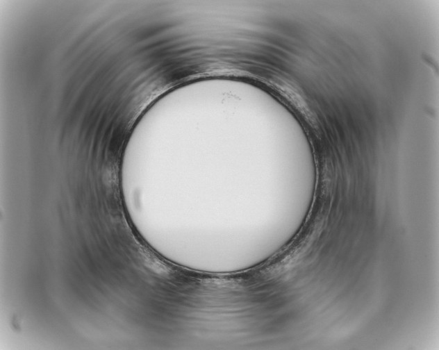 X0000095881281200802011036