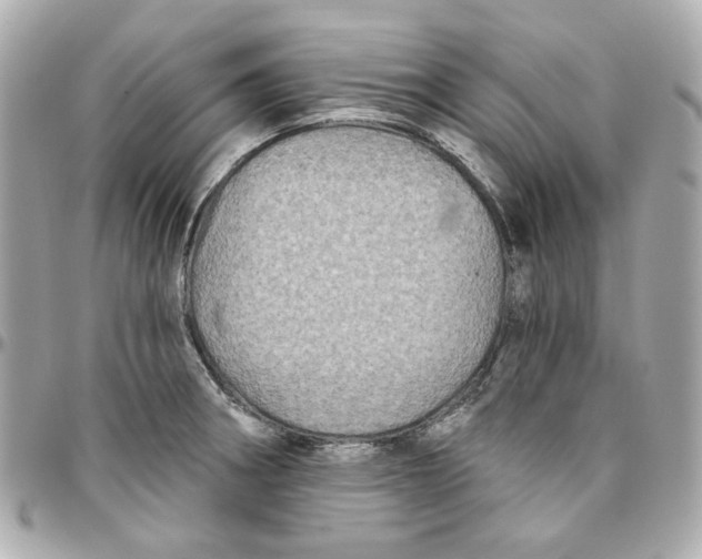 X0000095881282200802011036