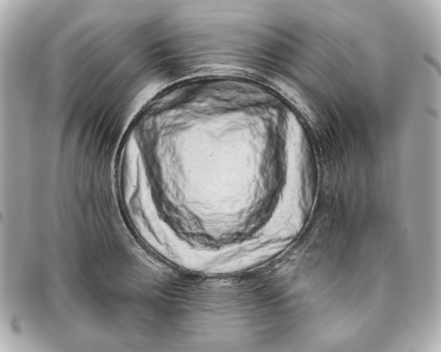 X0000095881283200802011036