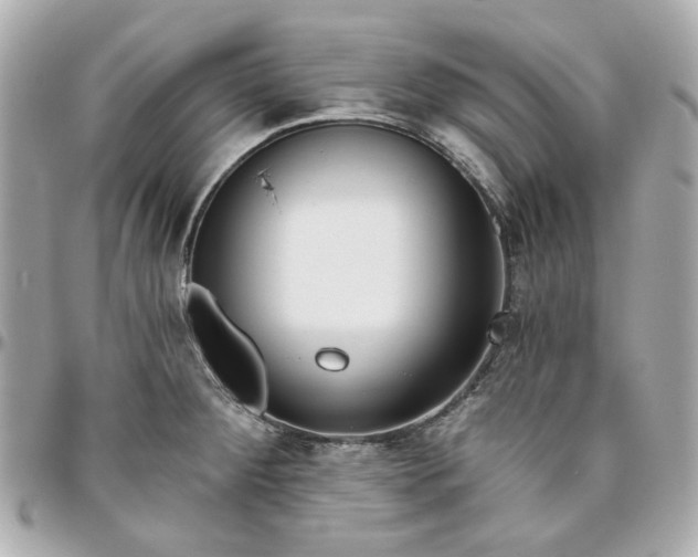 X0000095881284200802011036