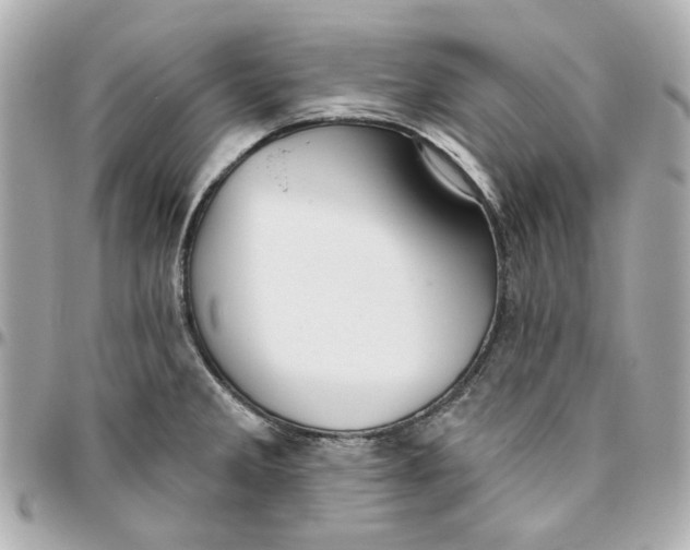 X0000095881285200802011036