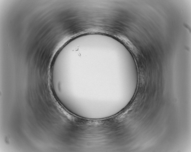 X0000095881286200802011036