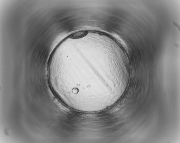 X0000095881287200802011036