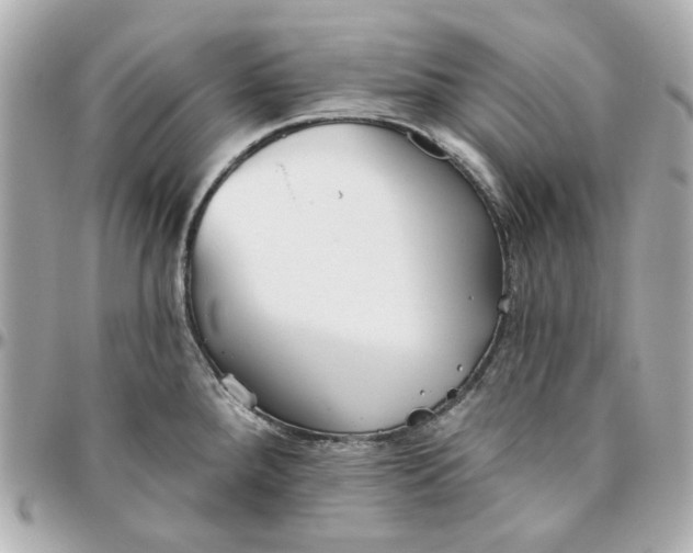 X0000095881288200802011036