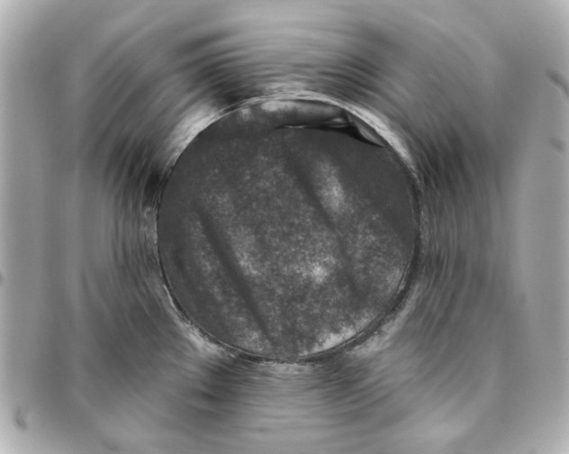 X0000095881289200802011036