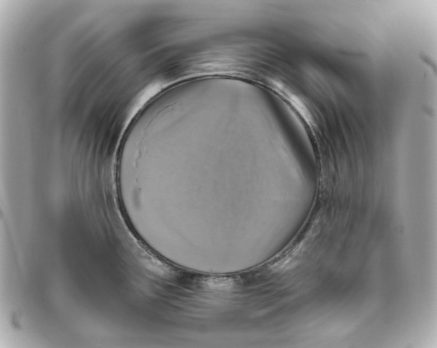 X0000095881291200802011035