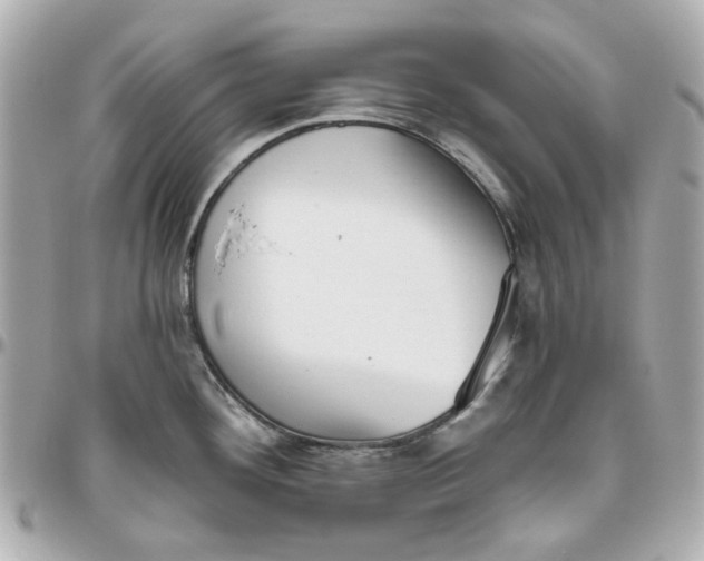 X0000095881292200802011035