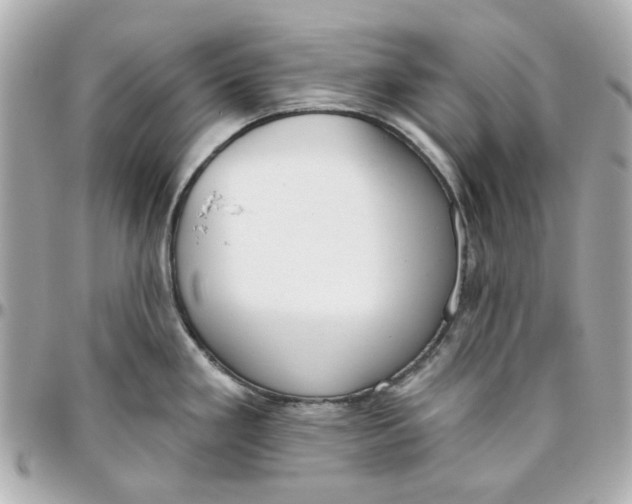 X0000095881293200802011035