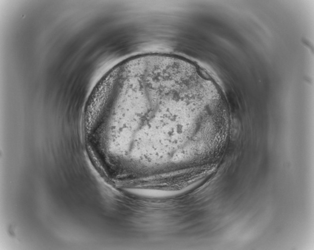 X0000095881295200802011035