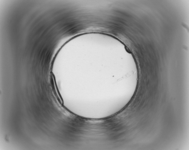 X0000095881296200802011035