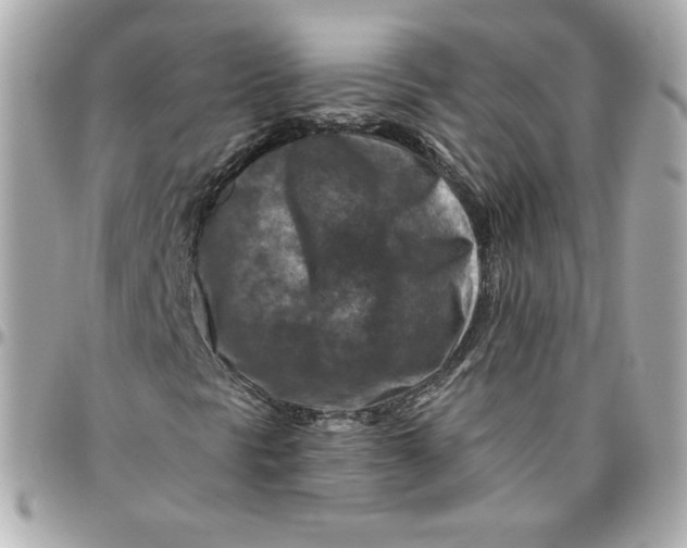 X0000095881297200802011035