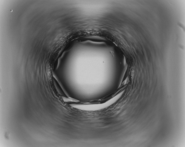 X0000095881298200802011035