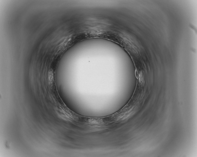 X0000095881299200802011035