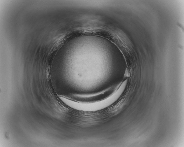 X0000095881300200802011035