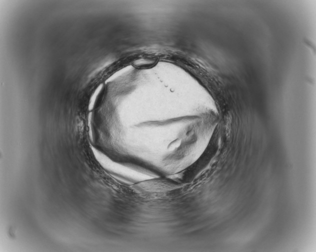 X0000095881302200802011035