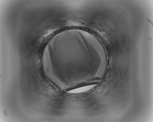 X0000095881303200802011035