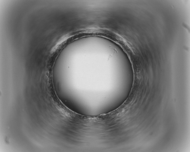 X0000095881304200802011035