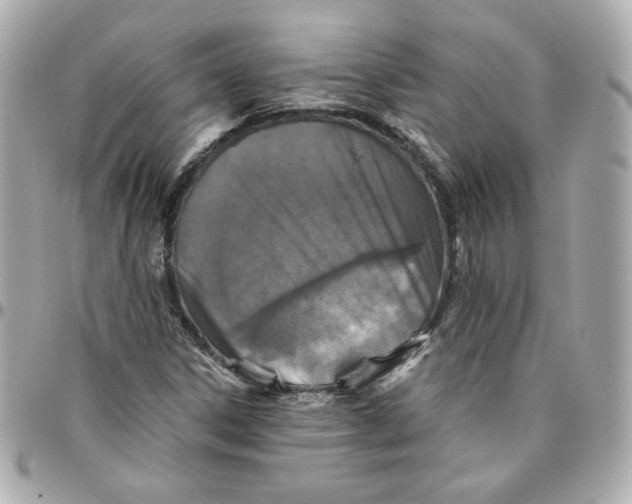 X0000095881306200802011035