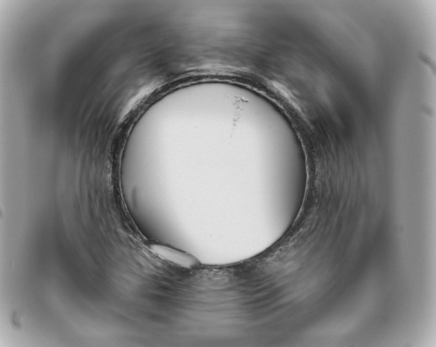 X0000095881307200802011035