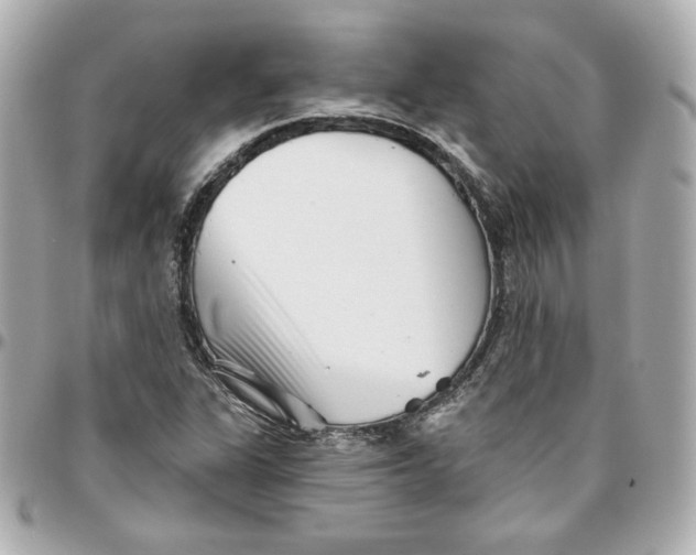 X0000095881311200802011035