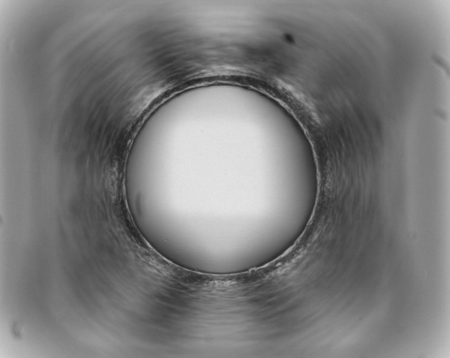 X0000095881313200802011035