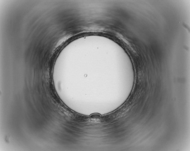 X0000095881315200802011035