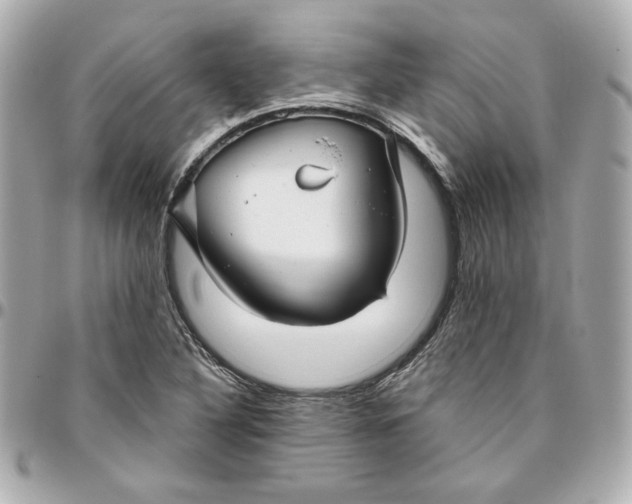 X0000095881316200802011035