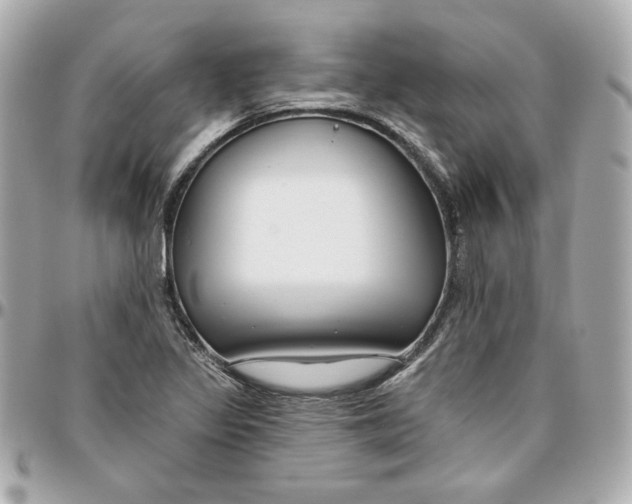 X0000095881317200802011035