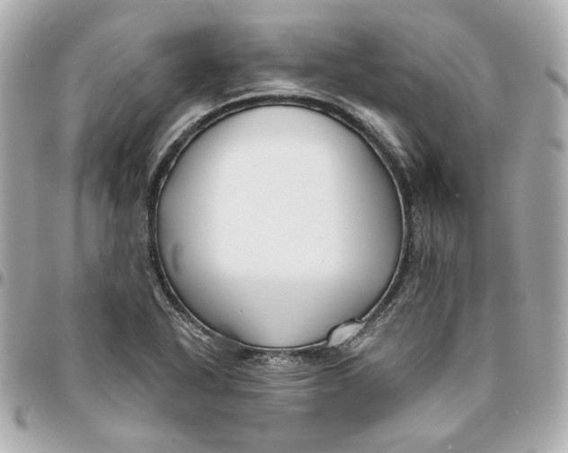 X0000095881318200802011035