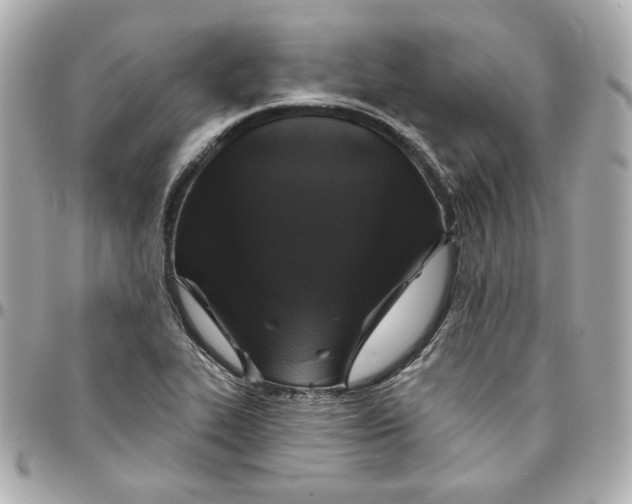 X0000095881319200802011035