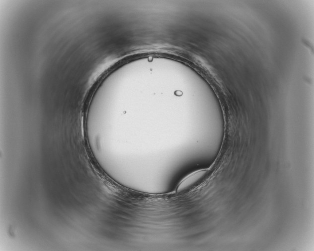 X0000095881320200802011035