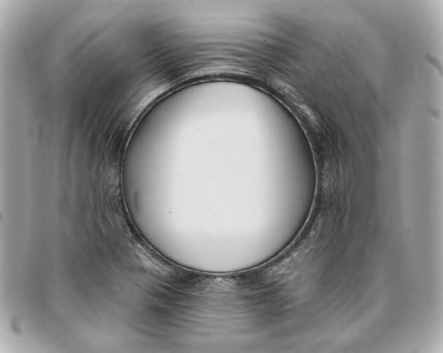 X0000095881321200802011035