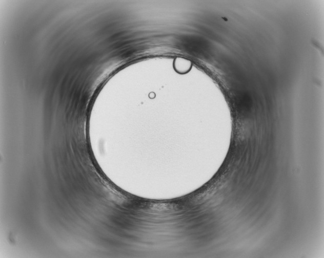 X0000095881322200802011035