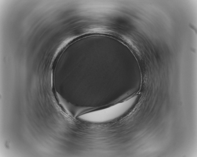 X0000095881323200802011035