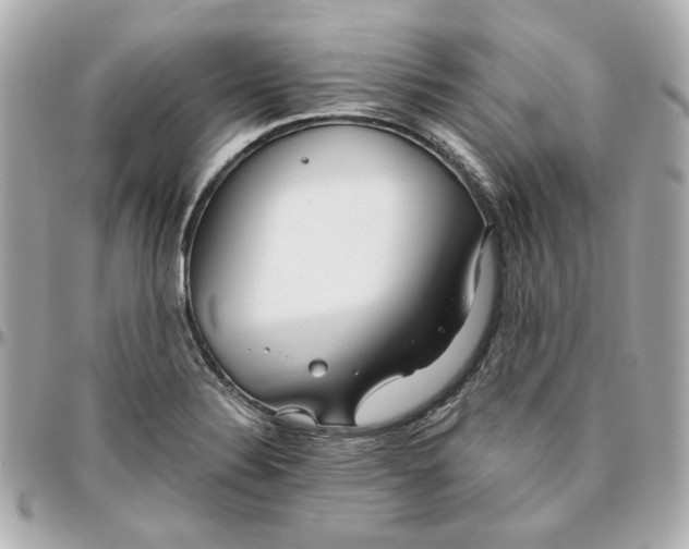 X0000095881324200802011035