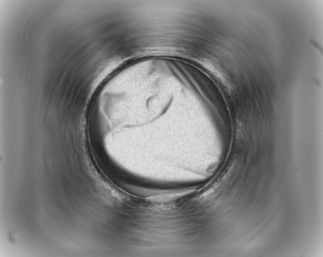 X0000095881325200802011035