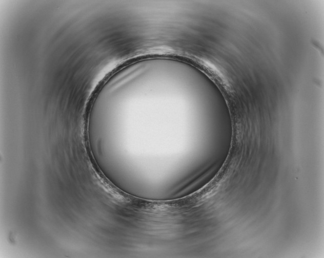 X0000095881326200802011035