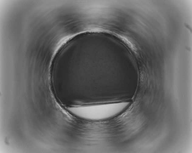 X0000095881327200802011035