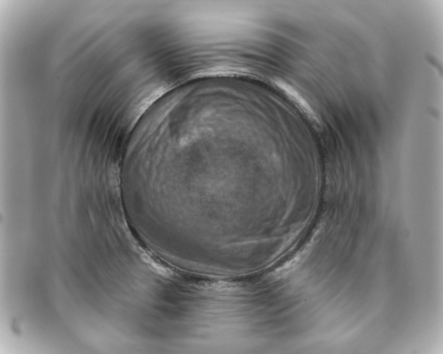 X0000095881329200802011035