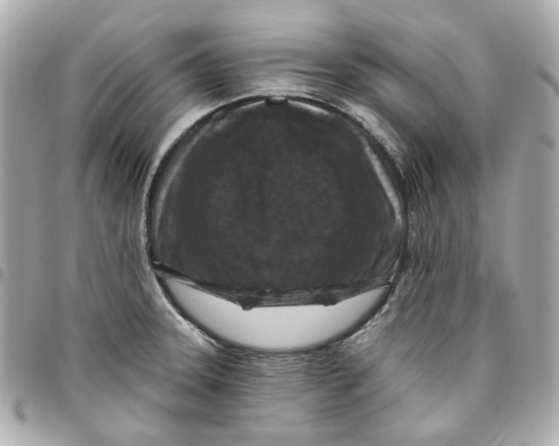 X0000095881331200802011035