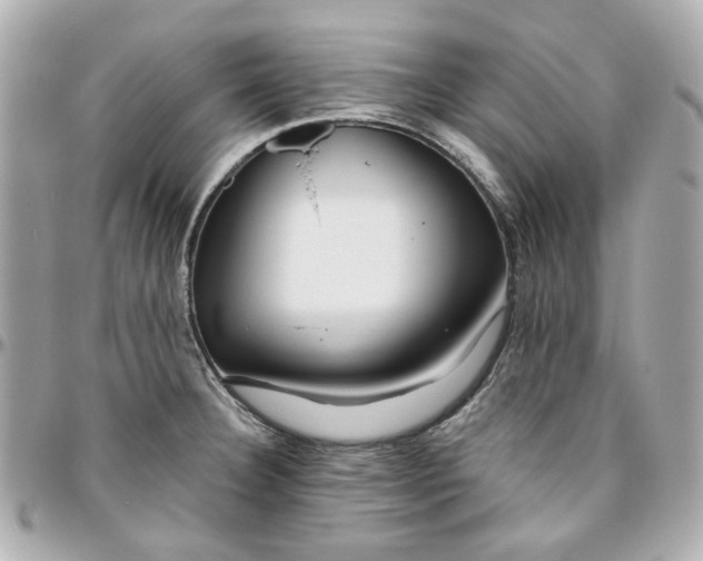 X0000095881332200802011035